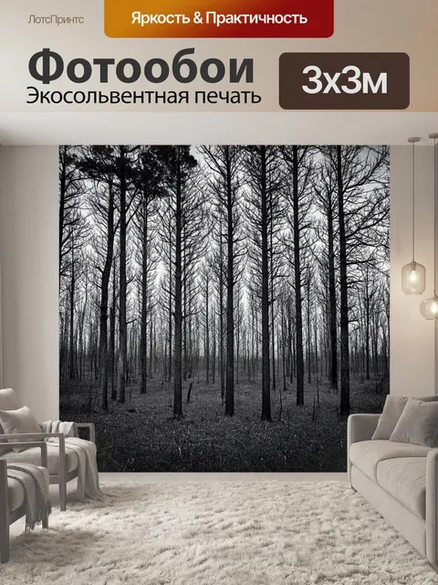 Фотообои черно-белый: мрачные просторы мертвого леса, где деревья стонут под давлением и ветром