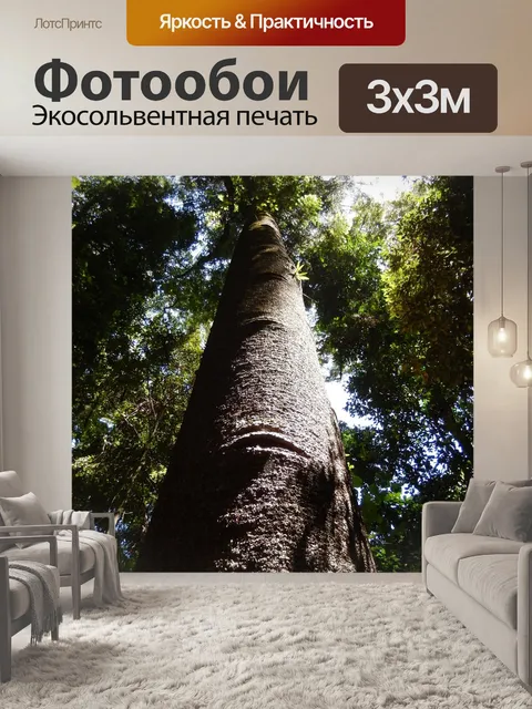 Фотообои Лес