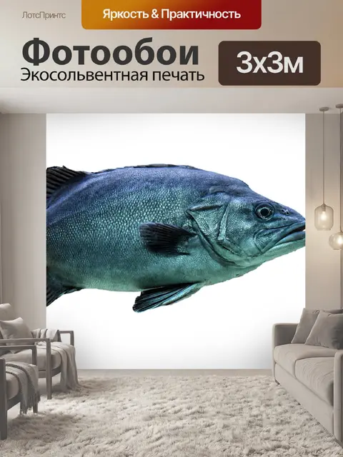 Фотообои Рыбы