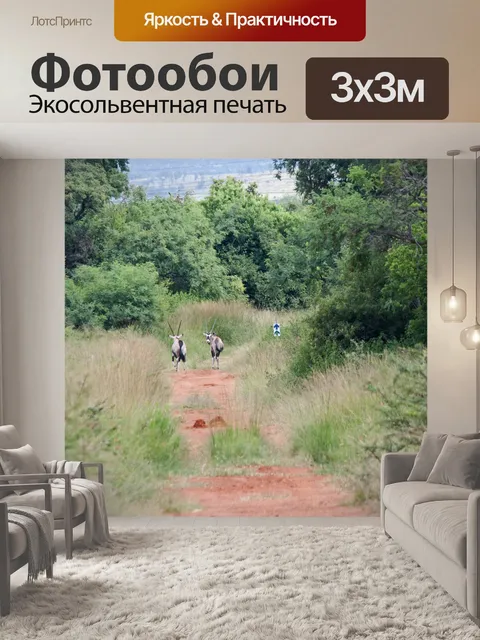 Фотообои вид двух антилоп орикс
