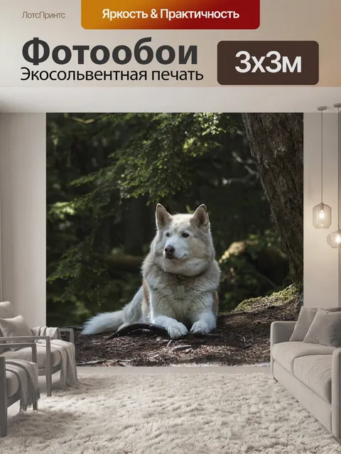 Фотообои Лес