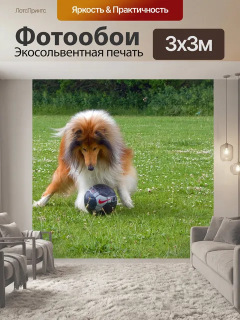 Фотообои Собака, играть в футбол