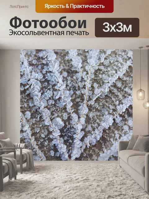 Фотообои Иней