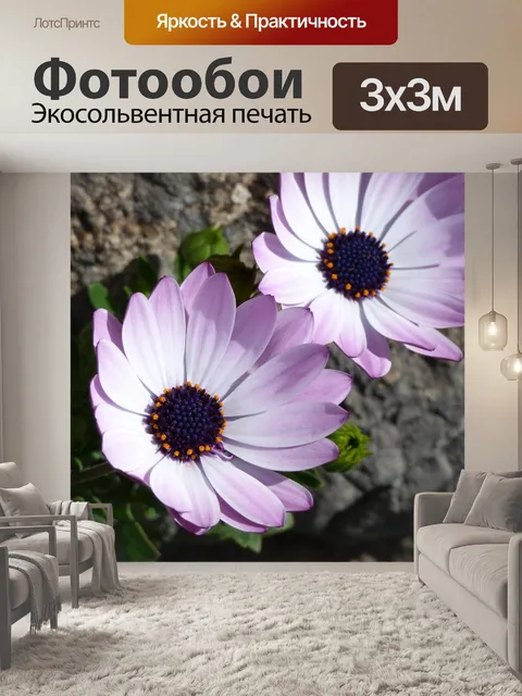 Фотообои Цветы