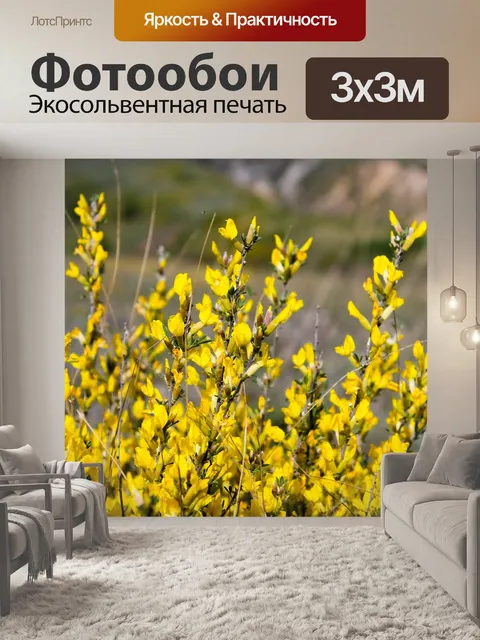 Фотообои Цветы