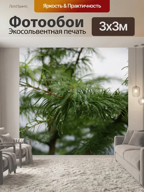 Фотообои Сосна