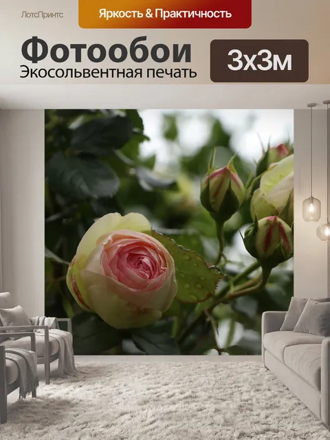 Фотообои Розы