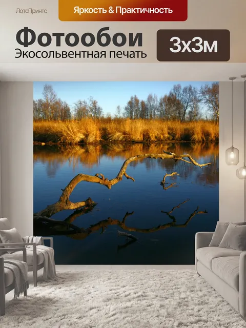 Фотообои Осень
