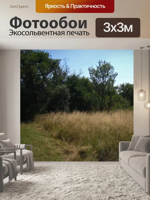 Фотообои длинный посев травы в поле