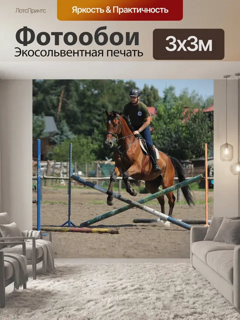 Фотообои Лошади