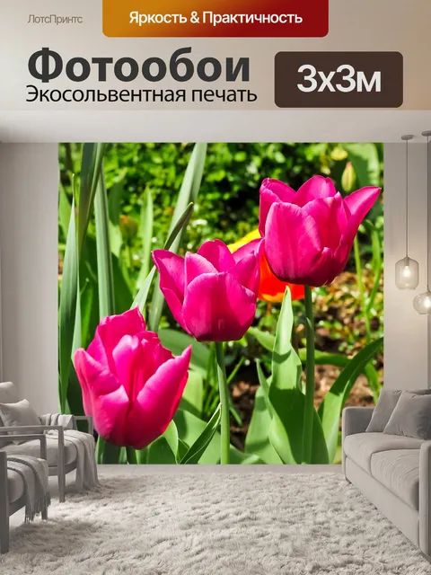 Фотообои Тюльпаны