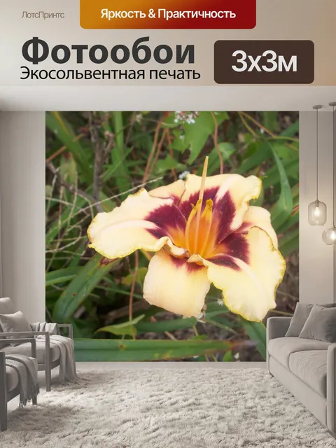 Фотообои Цветы в саду