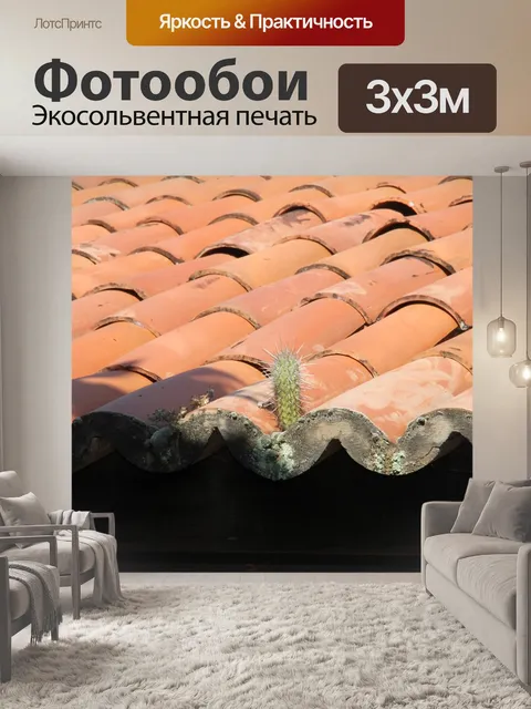 Фотообои Кактус