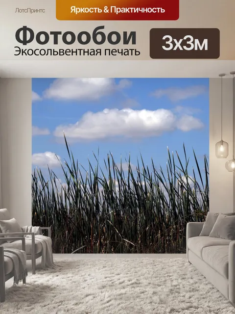 Фотообои Высокая трава и голубое небо