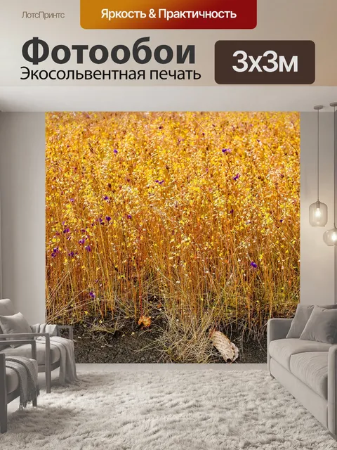 Фотообои Трава цветочное поле