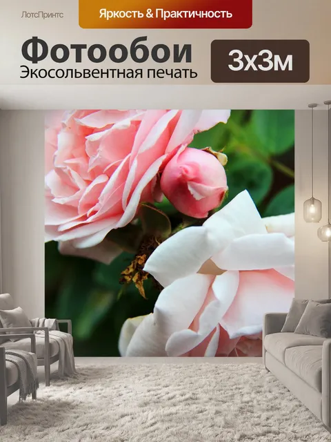 Фотообои Розы