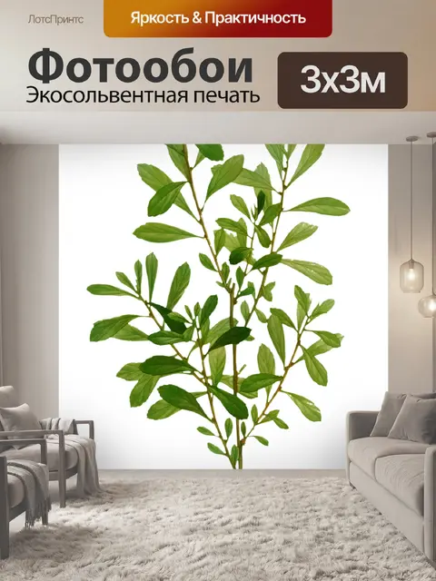 Фотообои Цветочный цветок старинное искусство