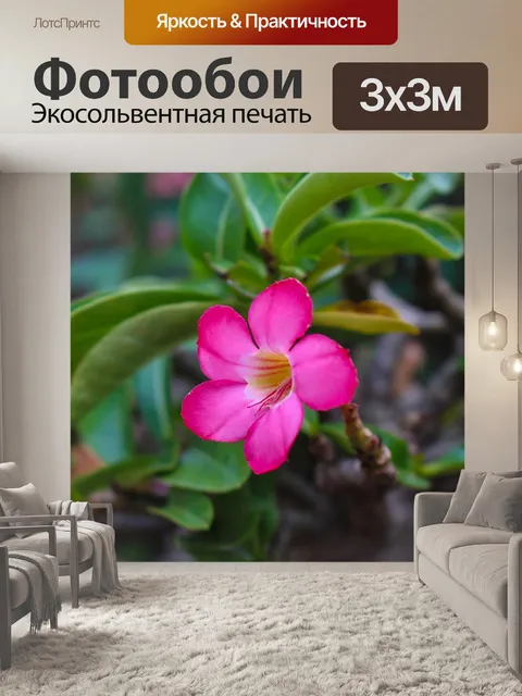 Фотообои Увлекательно