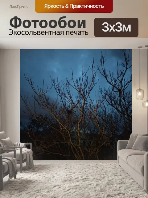 Фотообои Ночь
