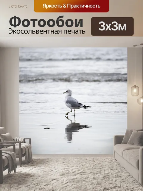 Фотообои Птица