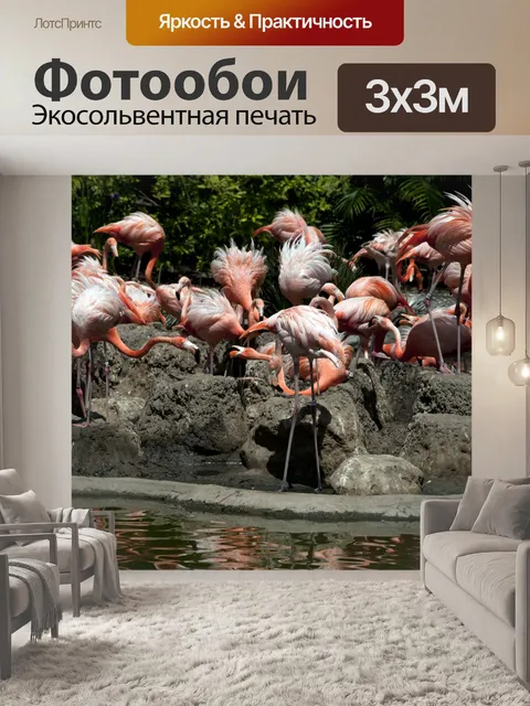 Фотообои Фламинго
