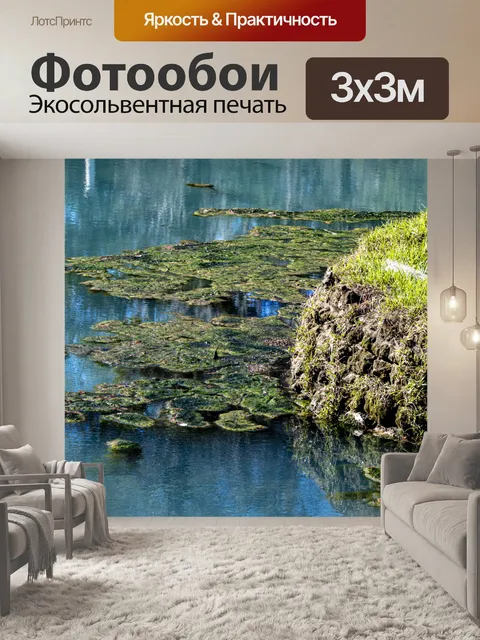Фотообои Болотная вода и мох