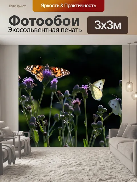 Фотообои Бабочки