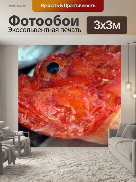 Фотообои Рыбы