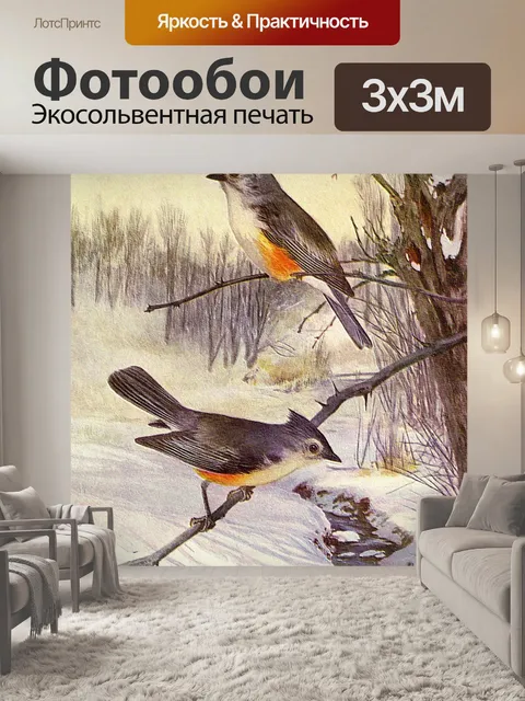 Фотообои Картина с птицами хохлатая синица