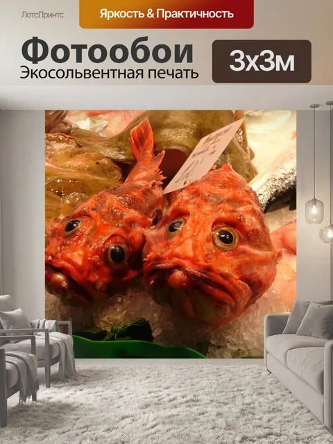 Фотообои Рыбы