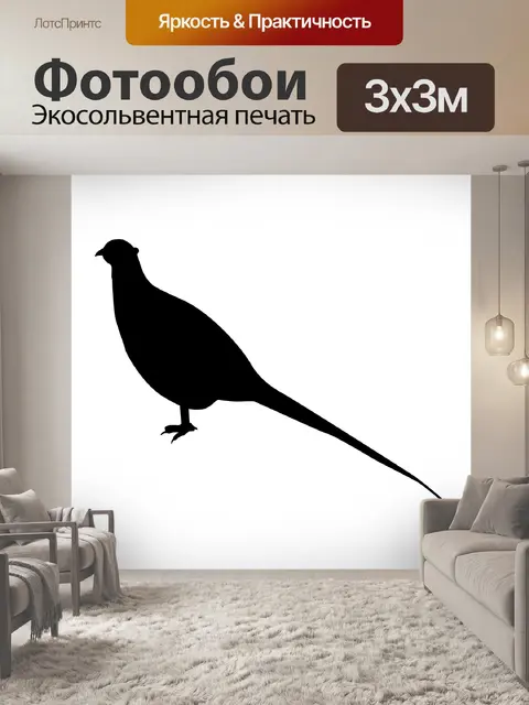Фотообои фазан Силуэт