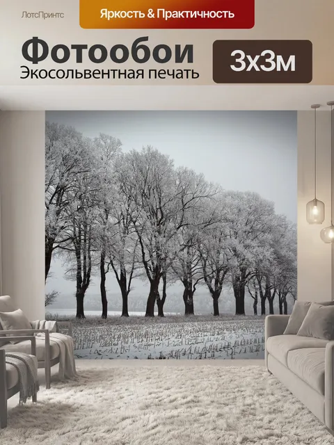 Фотообои Зима