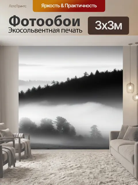 Фотообои пейзаж с туманом фото чернобелый