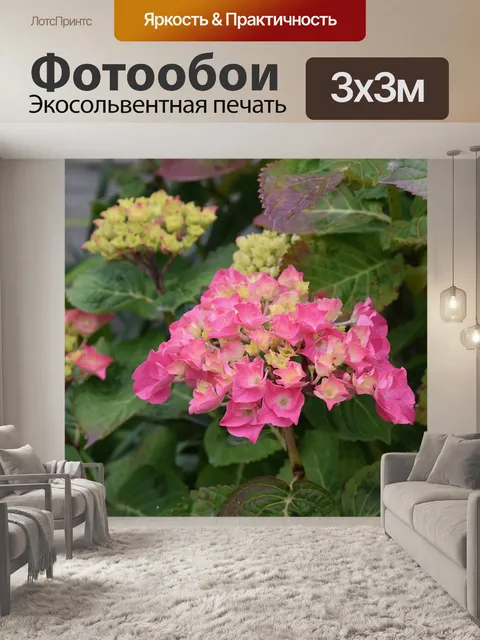 Фотообои Цветок