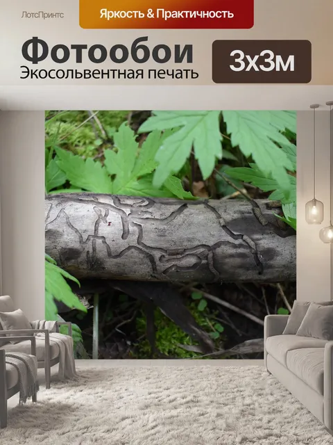 Фотообои Древесина