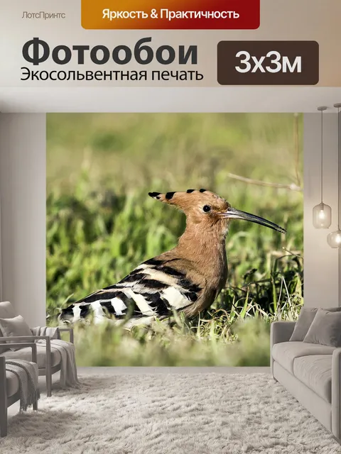Фотообои Птицы