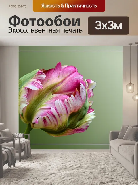 Фотообои Тюльпан