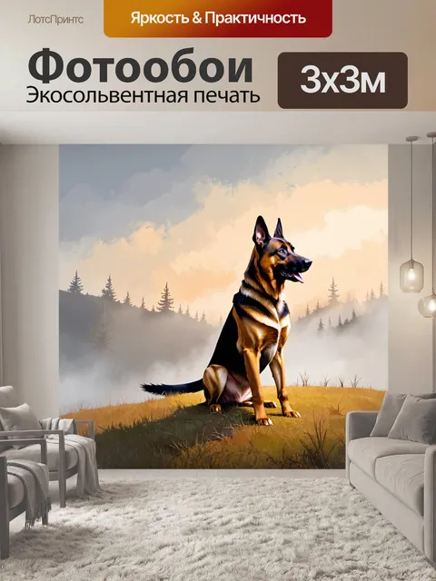 Фотообои на фоне рассвета старшая немецкая овчарка с гордой стойкой сидит на холме, окруженная туманом