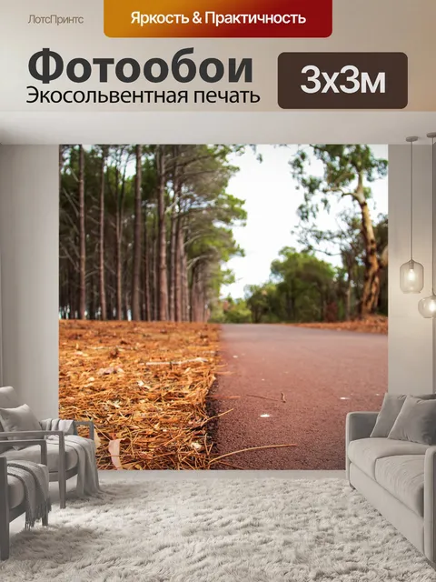 Фотообои Дорога