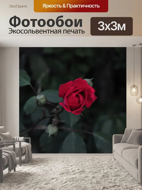 Фотообои Роуз
