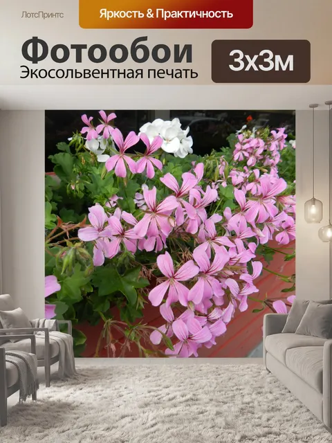 Фотообои Бегство в Монреаль (15)