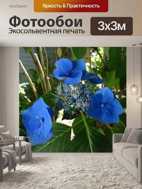 Фотообои голубые цветы