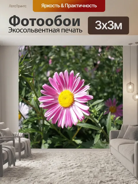 Фотообои Цветы