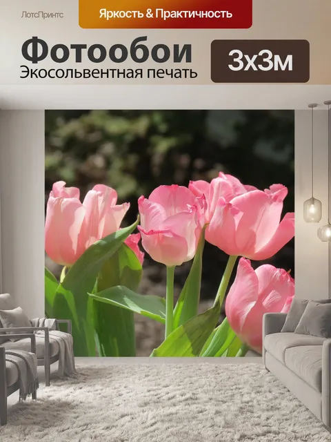 Фотообои Тюльпаны