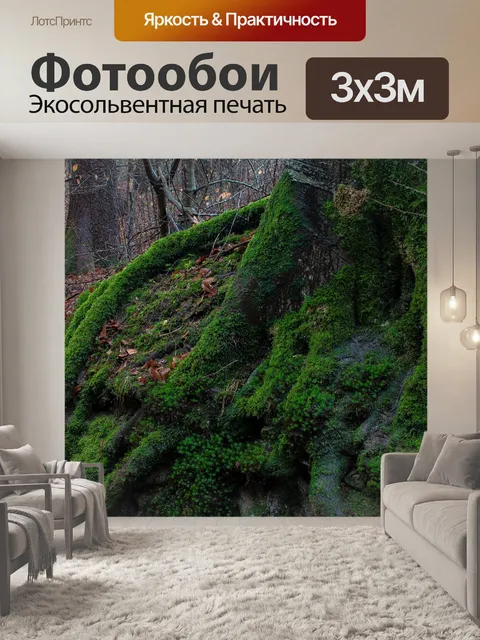 Фотообои Мох