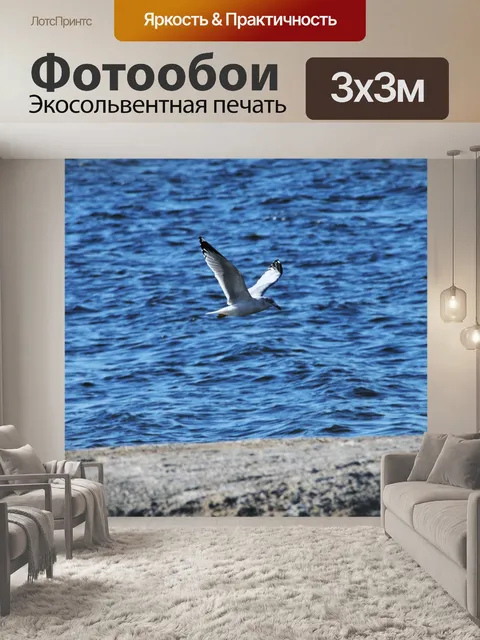 Фотообои Чайка, пролетел над Солтон-Си