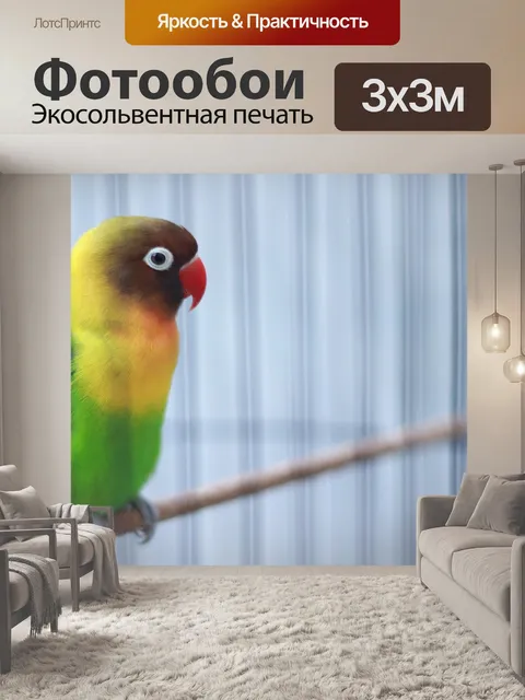 Фотообои Птица любви