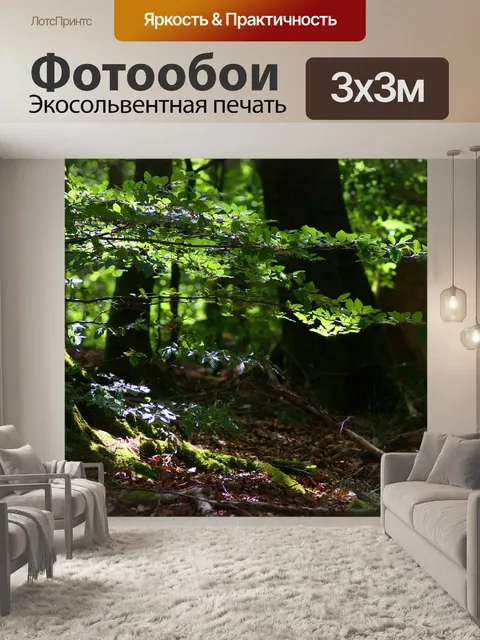 Фотообои Лес