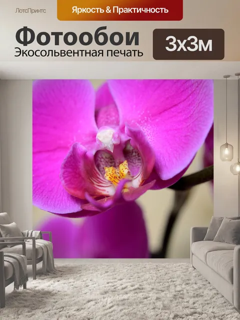 Фотообои Цветы