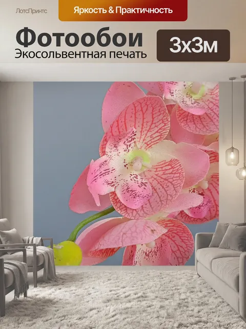 Фотообои Орхидея